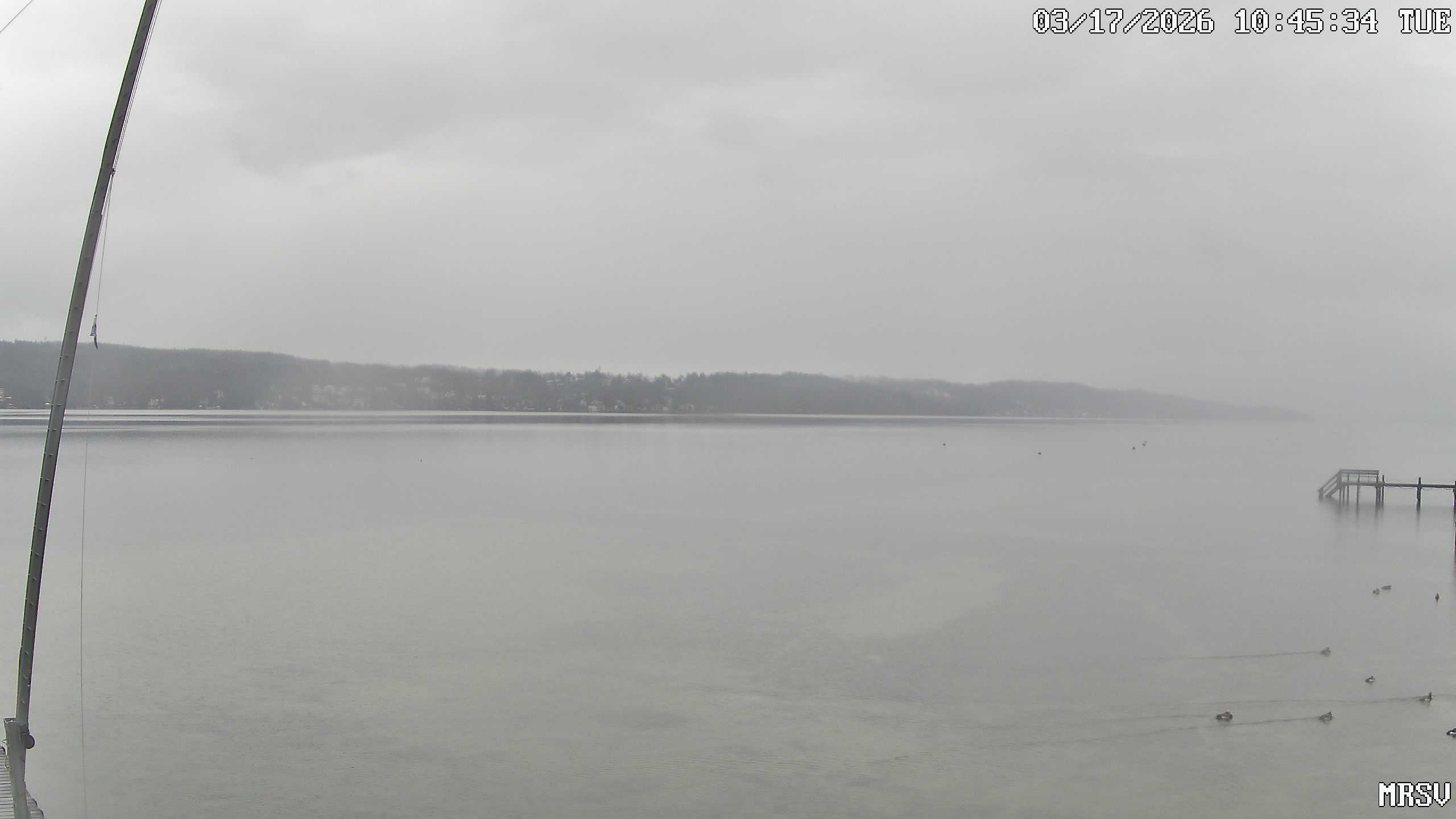 MRSV Bayern Webcam