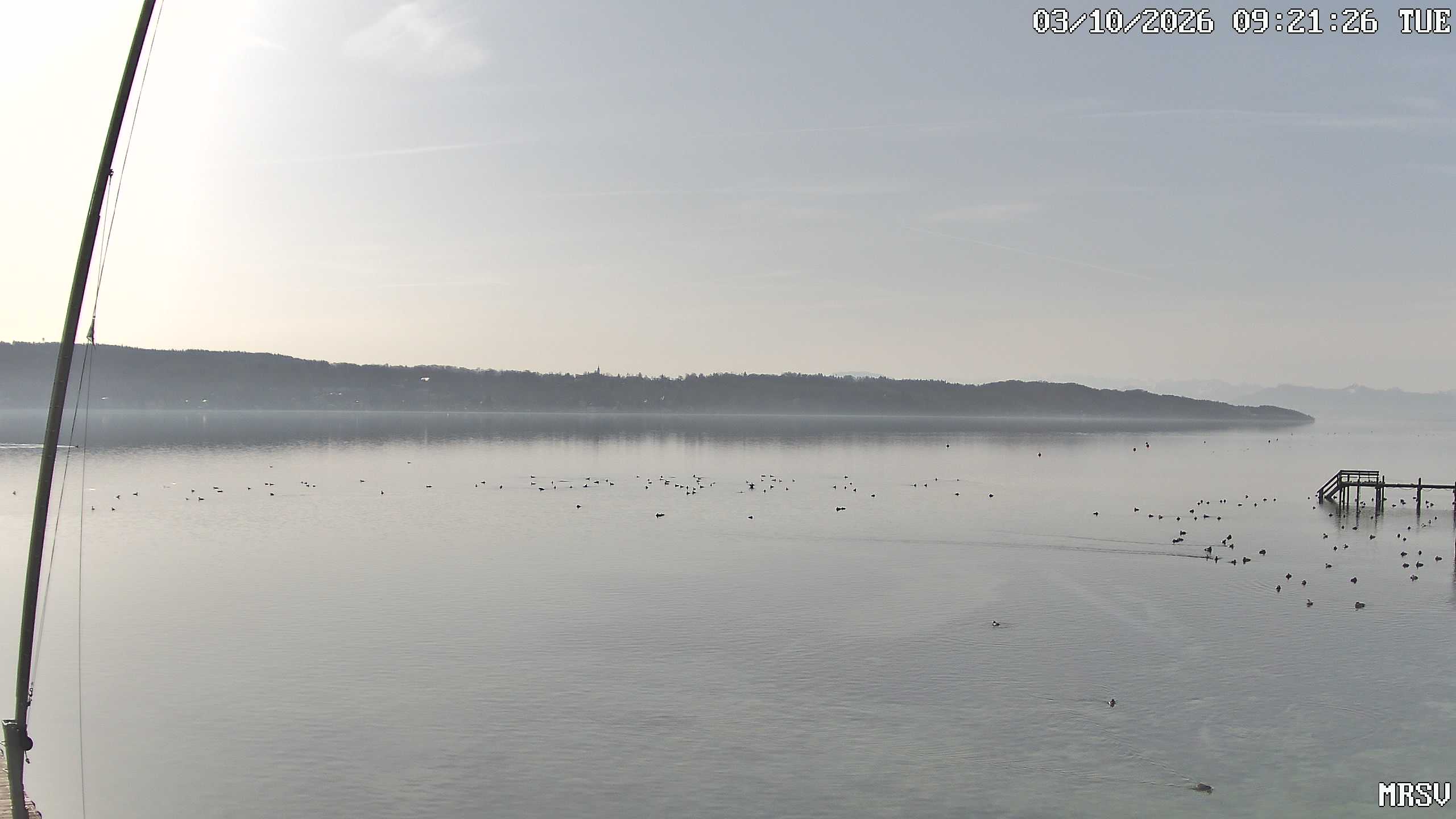MRSV Bayern Webcam