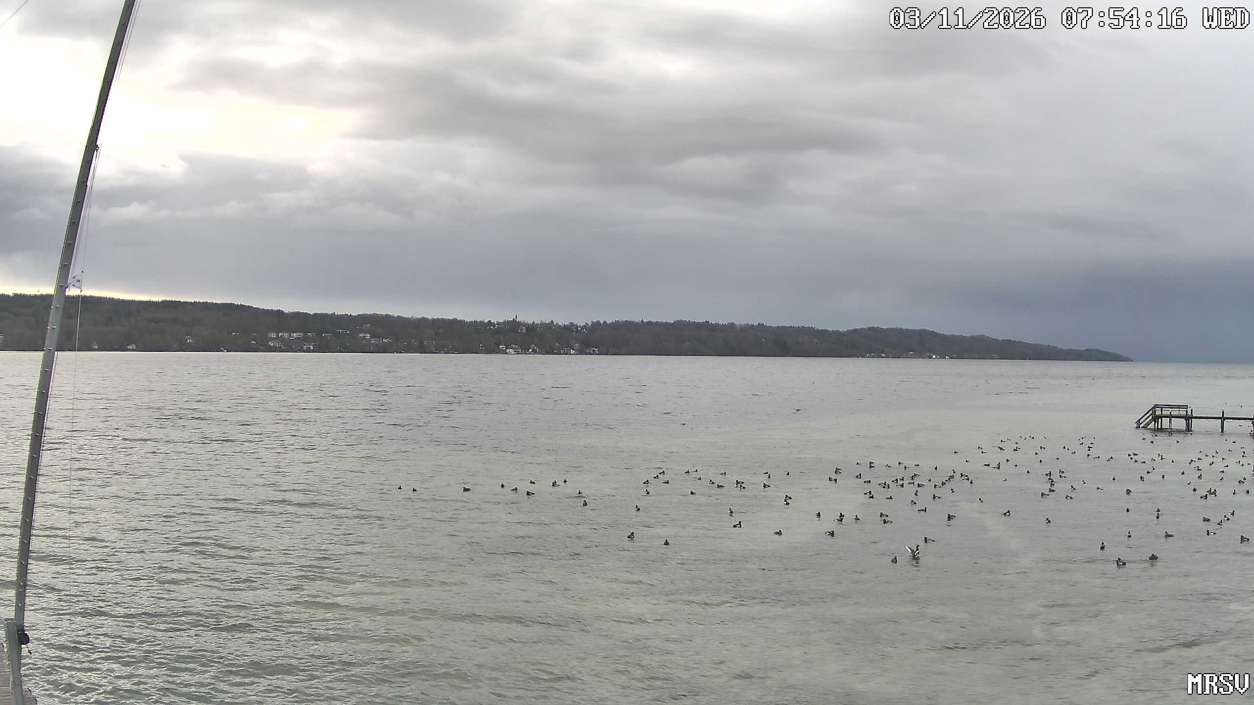MRSV Bayern Webcam