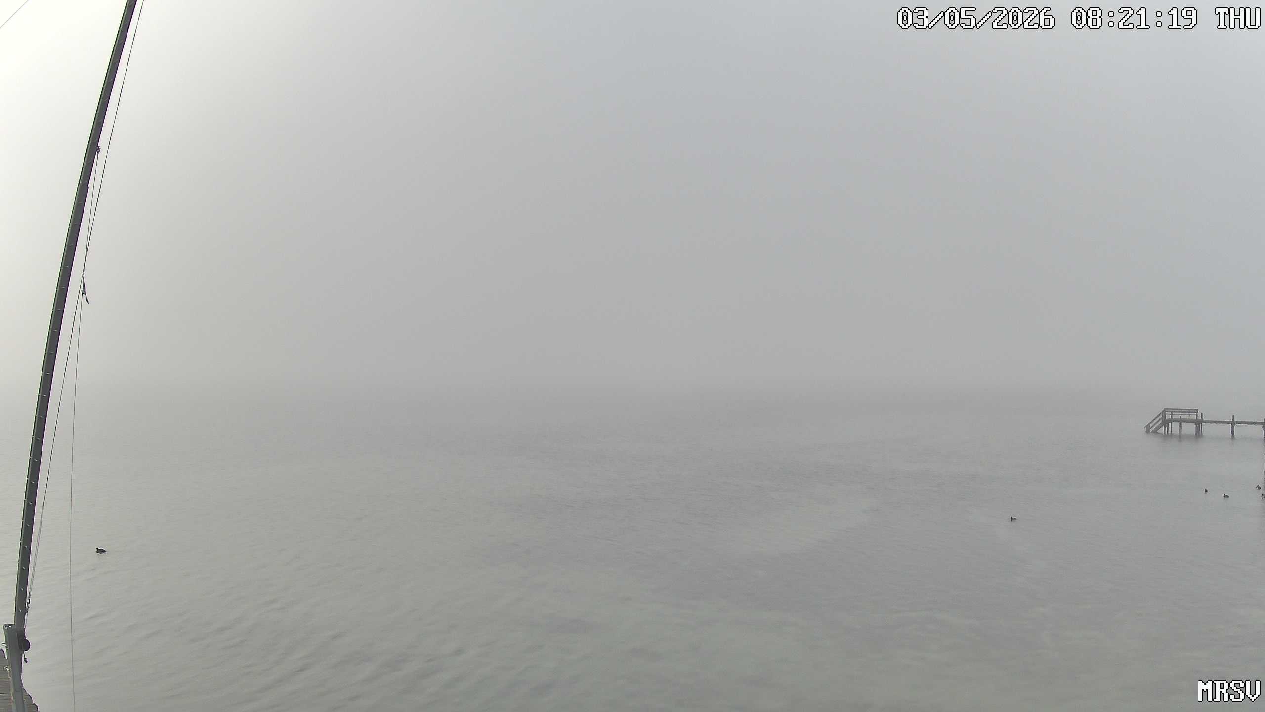 MRSV Bayern Webcam
